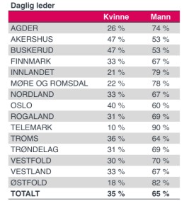 AiN bedritfter daglig ledere AiN bedritfter daglig ledere