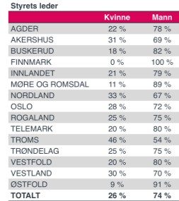 AiN bedritfter styreledere AiN bedritfter styreledere